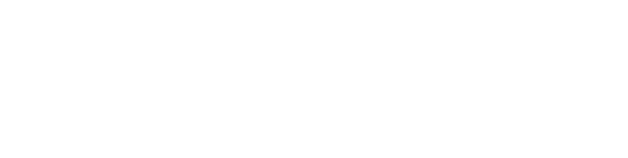 TEMU TECH WebApp